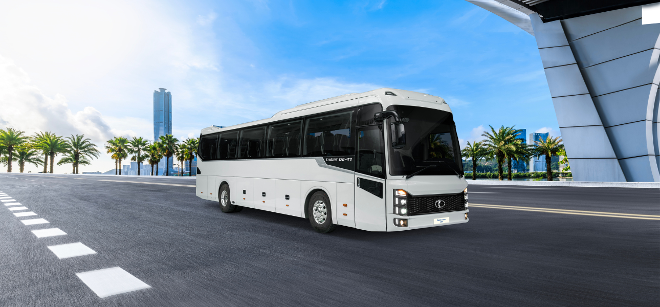 A Cruizer 120 bus travels along a road lined with palm trees under a clear blue sky.