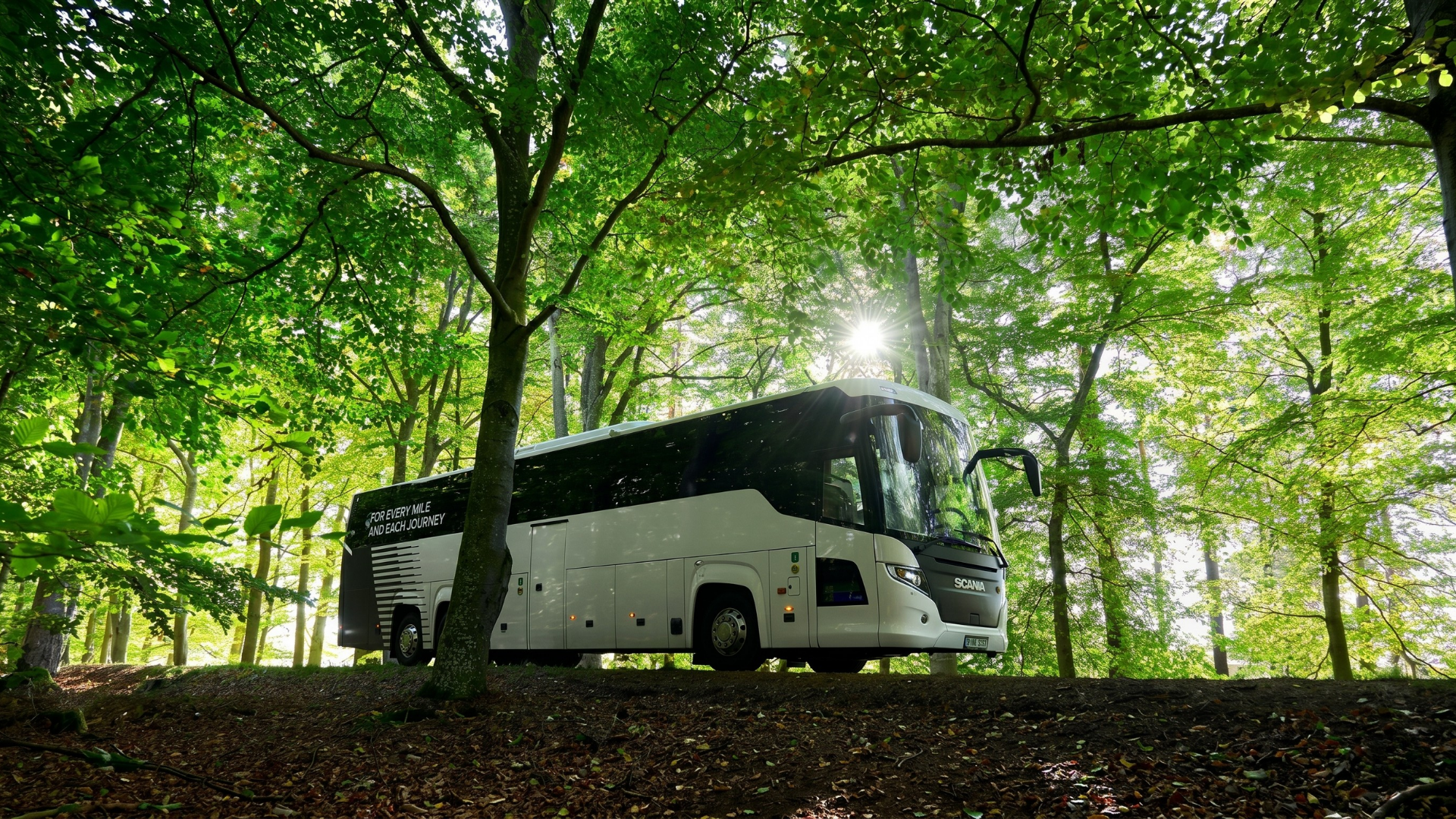 A white tour bus parked in a sun-dappled forest, surrounded by lush green trees.